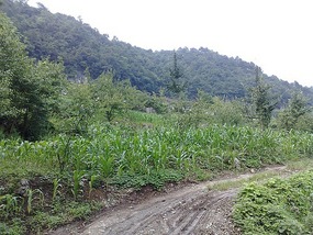 Wulingyuan Nature Park Day One AVATAR