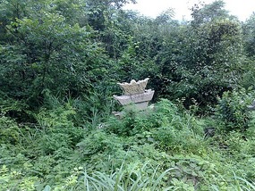 Wulingyuan Nature Park Day One AVATAR
