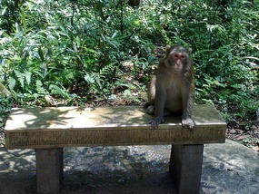 Wulingyuan Nature Park Day One AVATAR