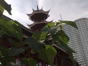 A Wonderful Adventure in Kaili