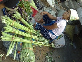 A Wonderful Adventure in Kaili
