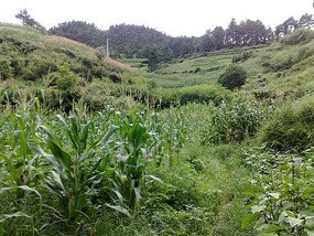 A Wonderful Adventure in Kaili