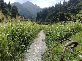 The Langde Village Adventure