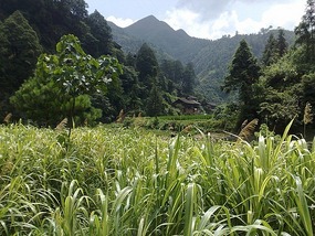 The Langde Village Adventure