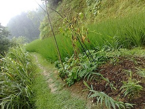The Langde Village Adventure