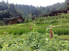 The Langde Village Adventure
