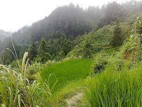 The Langde Village Adventure
