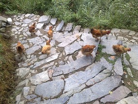 The Langde Village Adventure