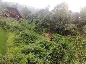 The Langde Village Adventure
