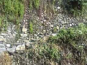 The Langde Village Adventure