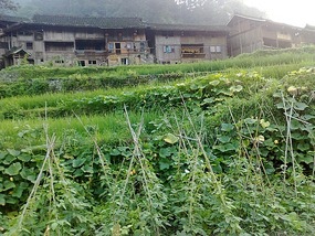 The Langde Village Adventure