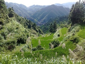 Beautiful Miao Village of Xijiang