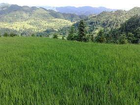 Beautiful Miao Village of Xijiang