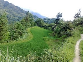 Beautiful Miao Village of Xijiang