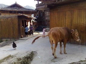 Beautiful Miao Village of Xijiang