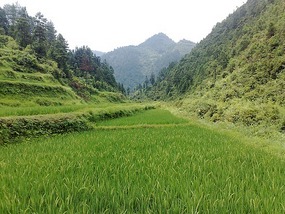 Another Xijiang Village Adventure