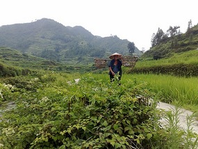 Another Xijiang Village Adventure
