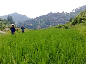 Another Xijiang Village Adventure