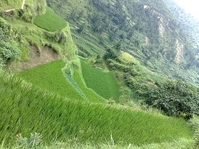 Another Xijiang Village Adventure