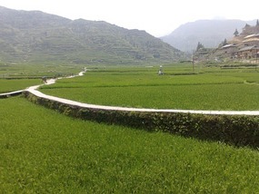 Another Xijiang Village Adventure