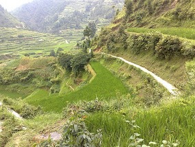 Another Xijiang Village Adventure