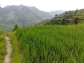 Another Xijiang Village Adventure