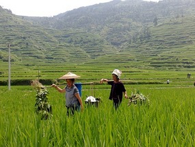 Another Xijiang Village Adventure