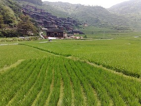 Another Xijiang Village Adventure