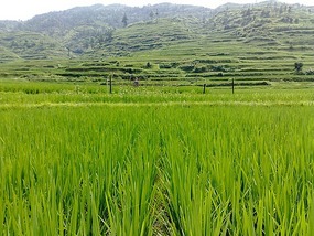 Another Xijiang Village Adventure
