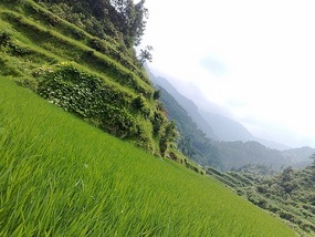 Another Xijiang Village Adventure