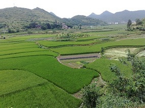 The Qingyan Village Adventure