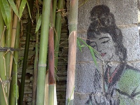 The Qingyan Village Adventure