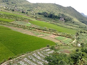 The Qingyan Village Adventure