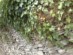 The Qingyan Village Adventure