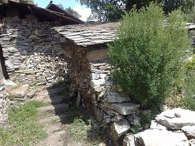 The Qingyan Village Adventure