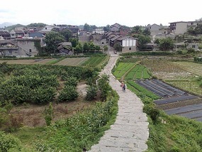 The Qingyan Village Adventure