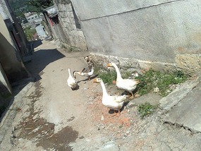 Anshun City & Lake Adventure