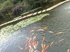 Huangguoshu Waterfalls & Buyi Village