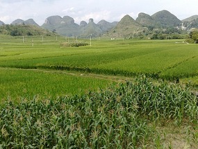 Huangguoshu Waterfalls & Buyi Village