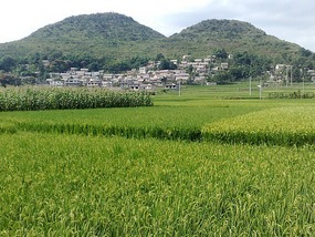 Huangguoshu Waterfalls & Buyi Village