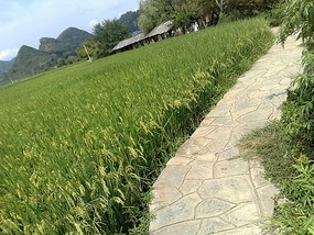 Huangguoshu Waterfalls & Buyi Village