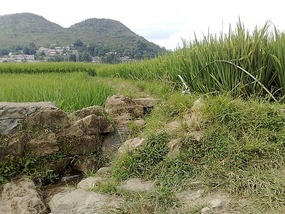 Huangguoshu Waterfalls & Buyi Village