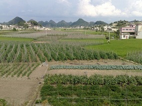 Huangguoshu Waterfalls & Buyi Village