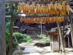 The Basha Village Adventure