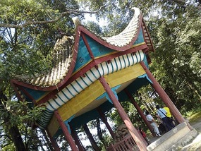 The Basha Village Adventure