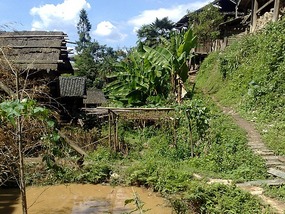 The Basha Village Adventure