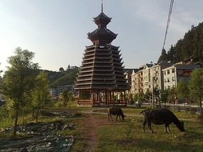 The Basha Village Adventure
