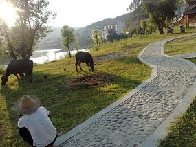The Basha Village Adventure
