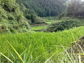 Zhaoxing Village Adventure
