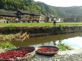 Zhaoxing Village Adventure